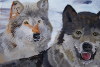 Playful Wolves